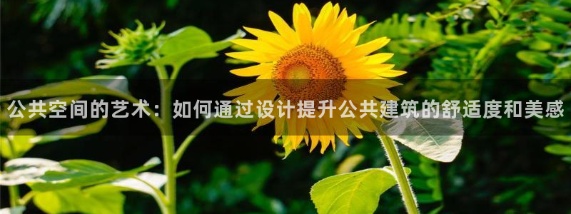 新航娱乐有限公司