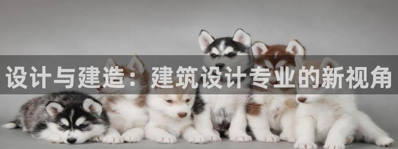 新航娱乐是干嘛的