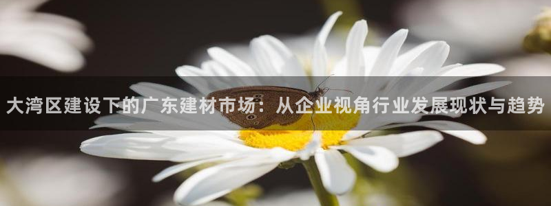 辽宁新航文化娱乐传媒