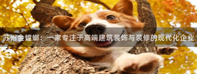开启娱乐新航线
