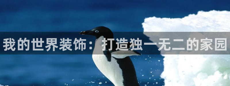 新航娱乐平台