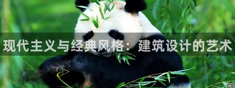 新航娱乐平台