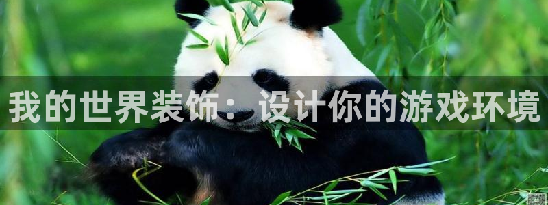 新航娱乐安卓版下载