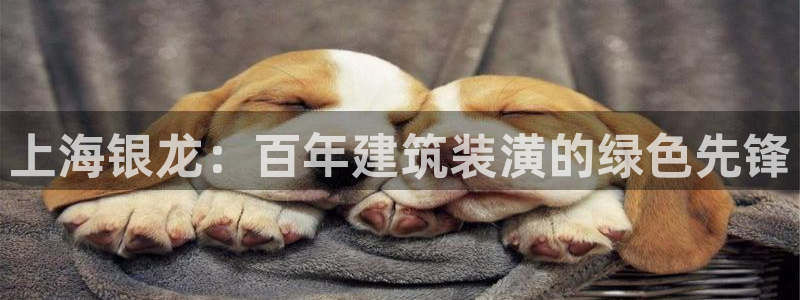 新航娱乐怎么开户