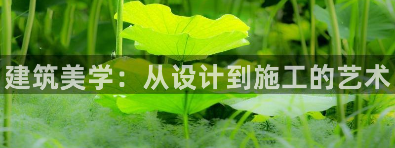 新航娱乐招商Q