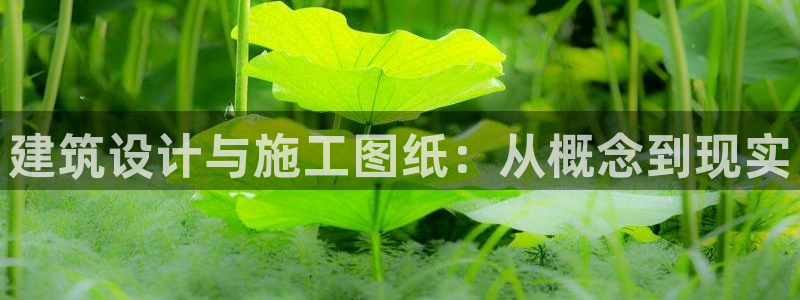 新航娱乐公司简介