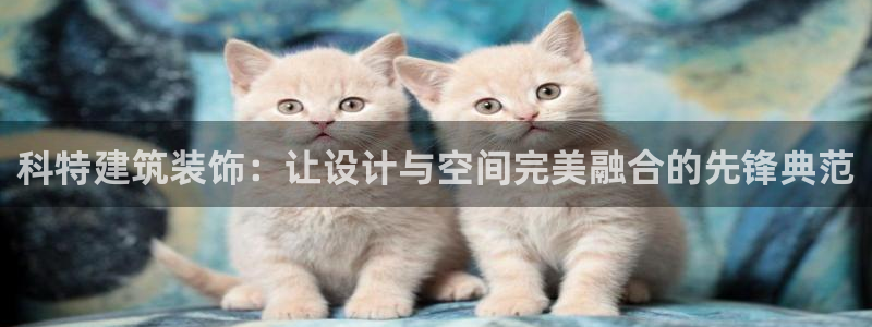 新航娱乐是正规平台吗