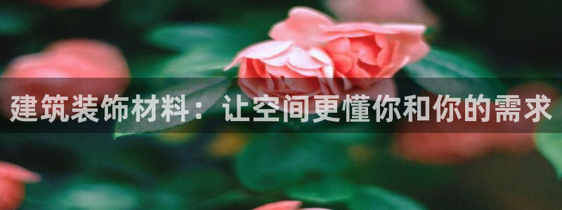 新航娱乐系统设置