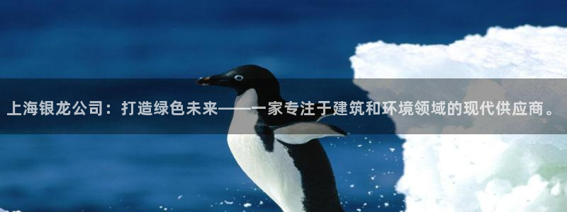 新航娱乐公司招聘
