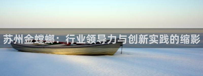 新航娱乐公司怎么样啊