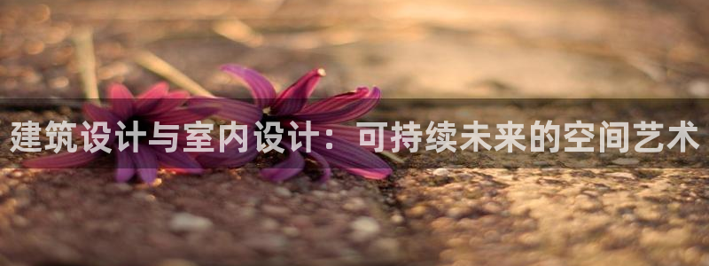 新航娱乐是正规平台吗
