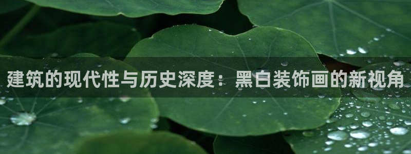 新航娱乐公司简介