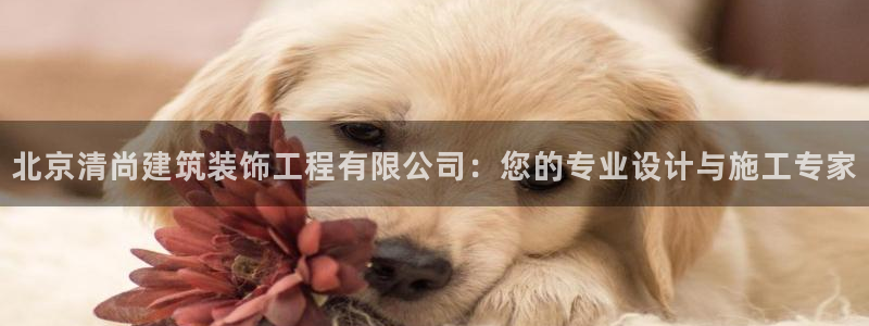 新航娱乐公司怎么样啊