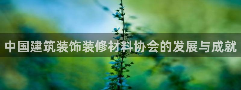 新航头等舱套房娱乐屏