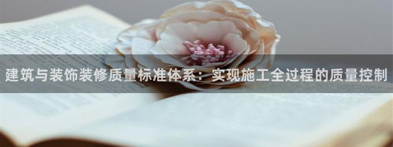 新航飞机椅背娱乐设备