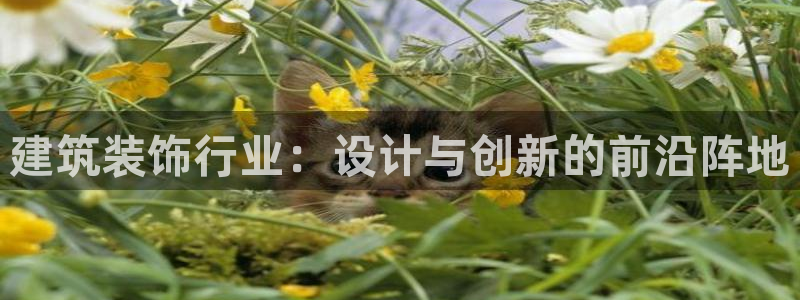 新航娱乐q