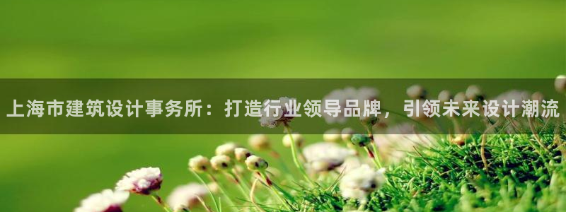 新航娱乐有限公司招聘