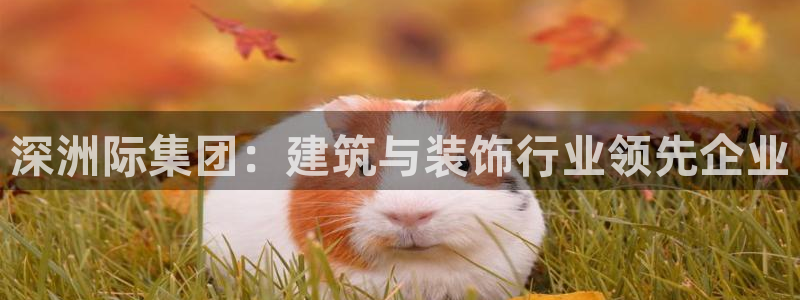 新航娱乐有方法开挂吗