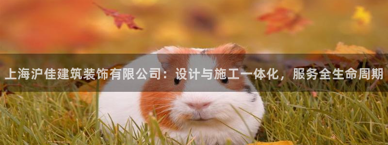新航娱乐主管是谁