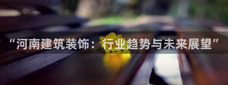 新航娱乐传媒招聘电话